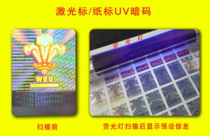 荧光91视频最新地址标签